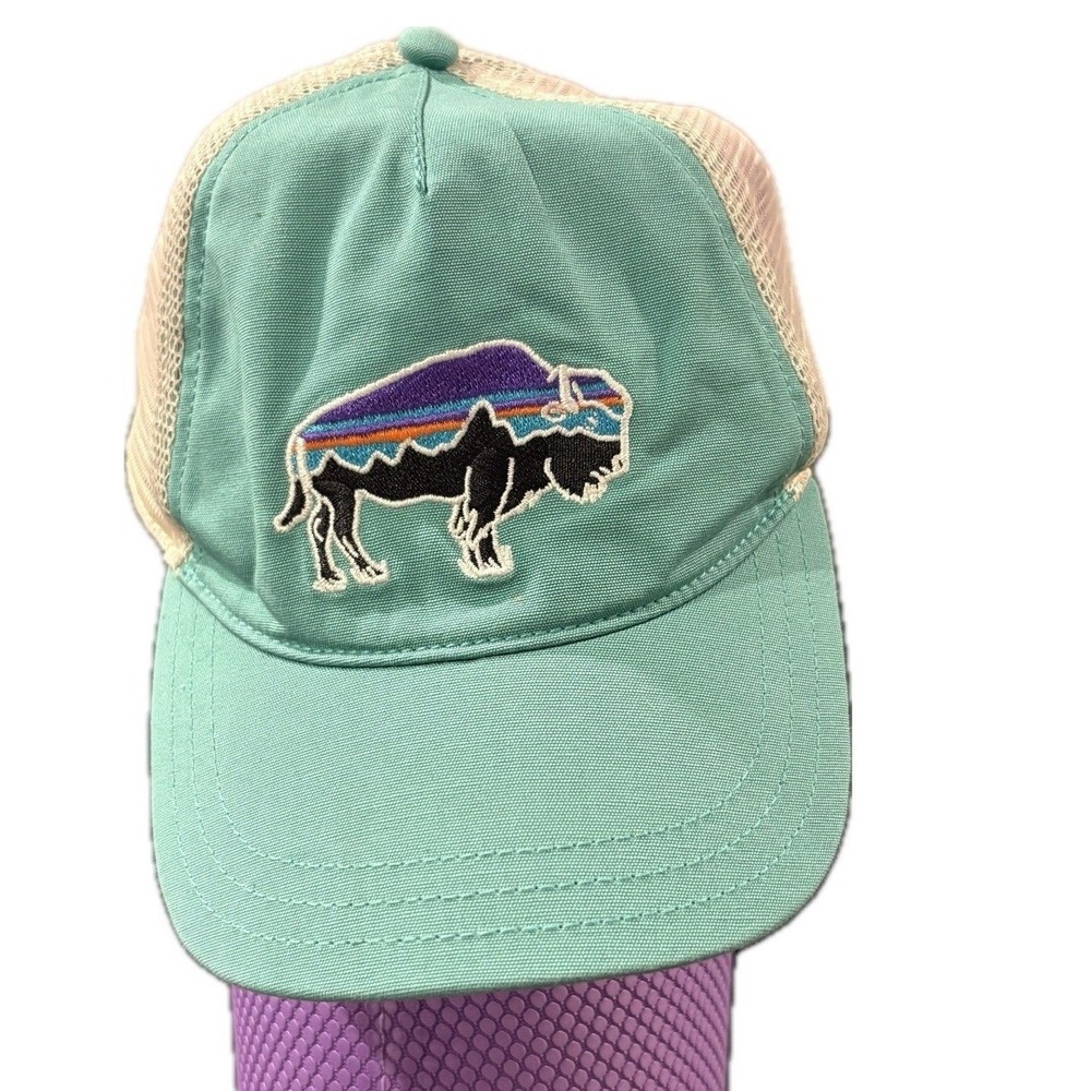 ♾️Patagonia Fitz Roy Bison LoPro Trucker Hat Teal Green Mesh Snapback Cap♾️